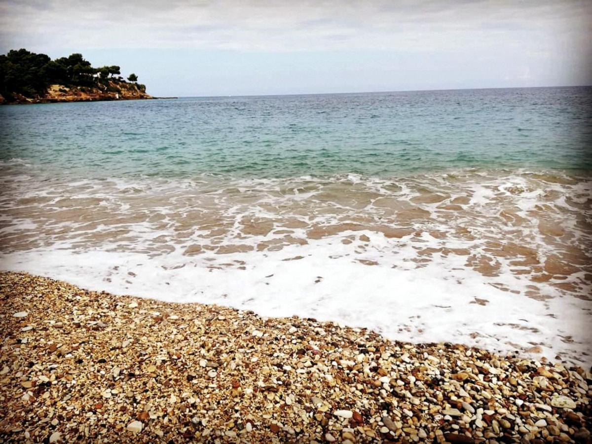Casa Le Nereidi Daire Castellammare del Golfo Dış mekan fotoğraf